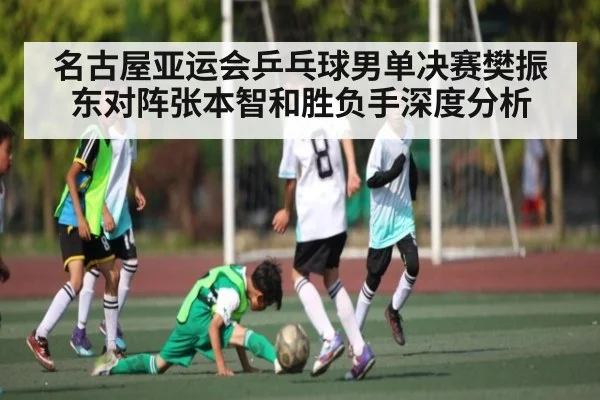 名古屋亚运会乒乓球男单决赛樊振东对阵张本智和胜负手深度分析